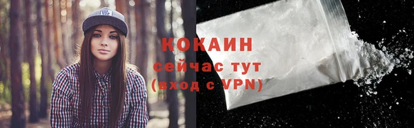 шишки Балахна