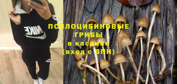 шишки Балахна