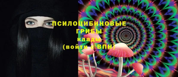 шишки Балахна